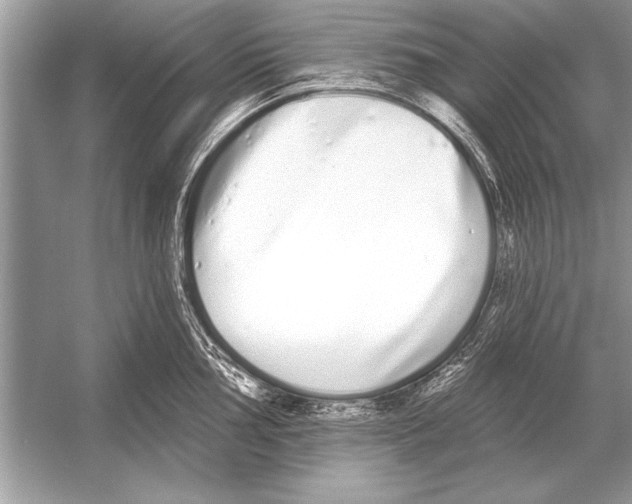 X0000051921002200507222129