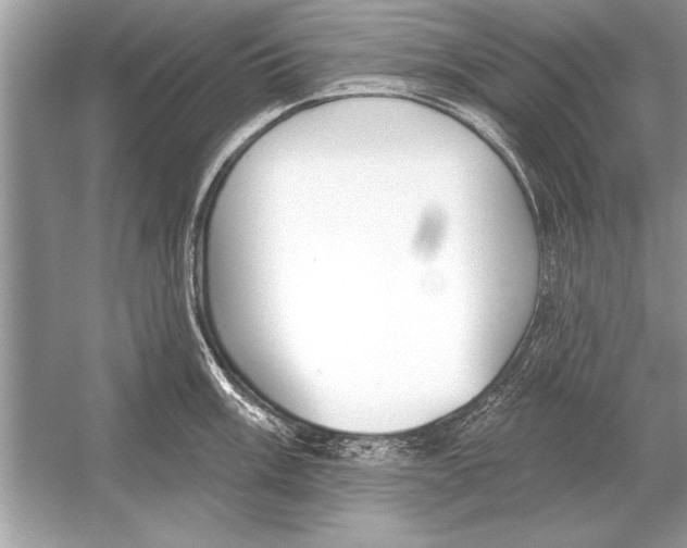 X0000051921003200507222129