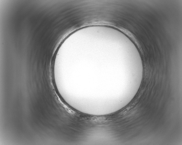 X0000051921006200507222129