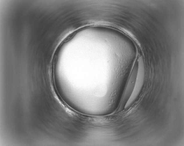 X0000051921007200507222129