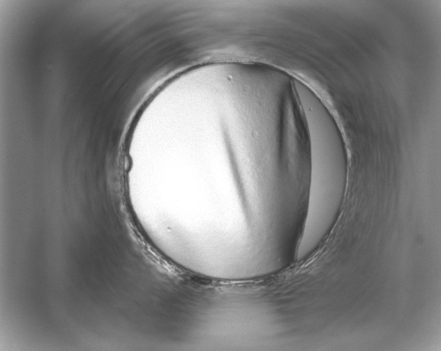 X0000051921008200507222129