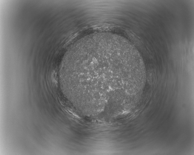 X0000051921010200507222128