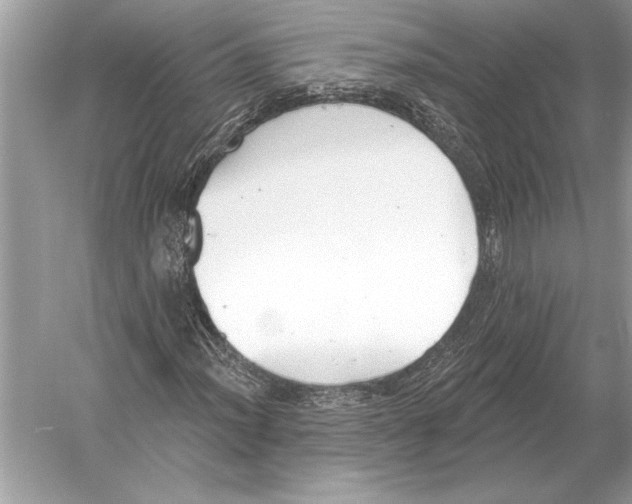 X0000051921012200507222129