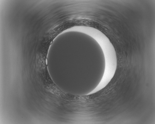 X0000051921013200507222129