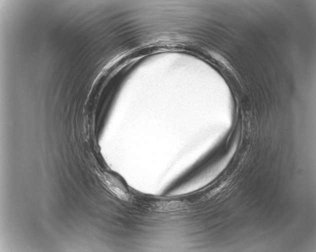 X0000051921018200507222129