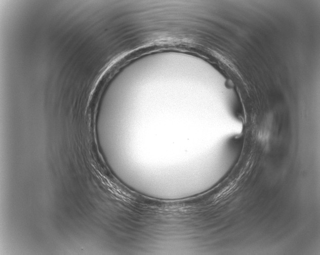 X0000051921021200507222129