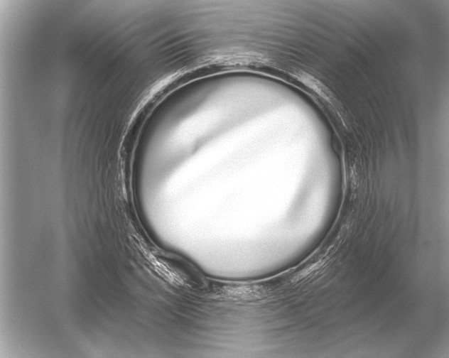 X0000051921022200507222129