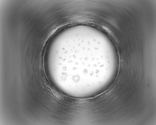 X0000051921023200507222129