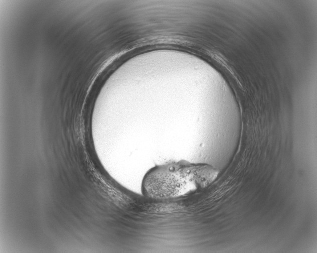 X0000051921024200507222129