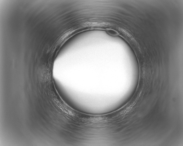 X0000051921025200507222129