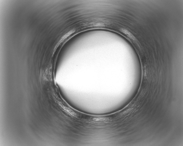 X0000051921026200507222129