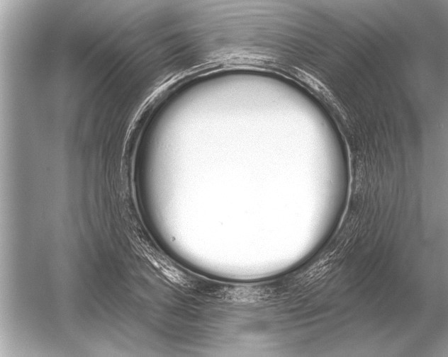 X0000051921027200507222129