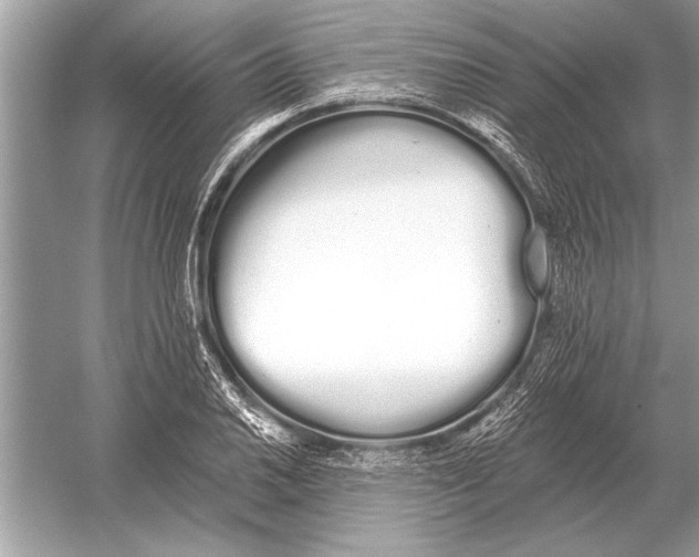 X0000051921030200507222129