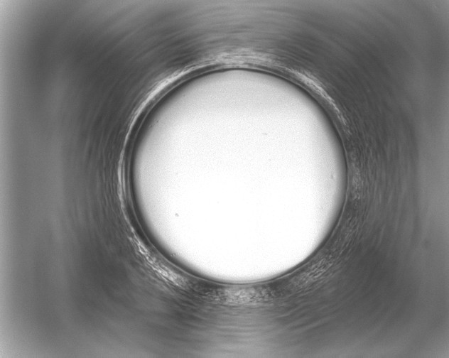 X0000051921032200507222129