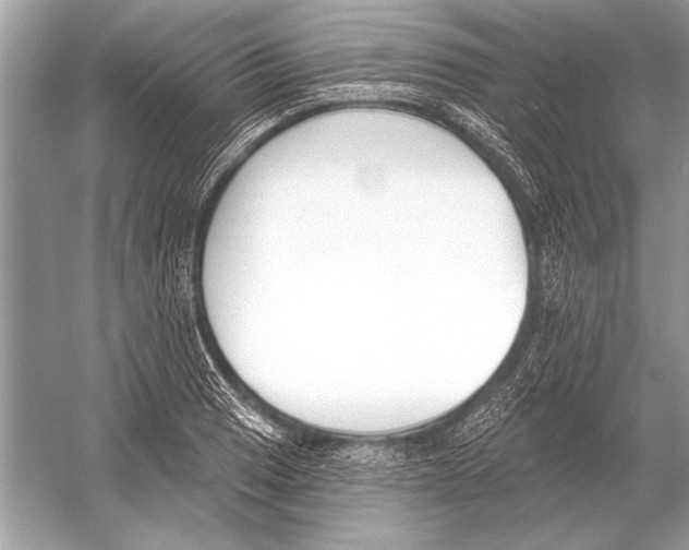 X0000051921033200507222129