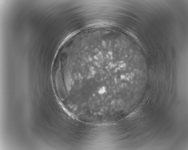 X0000051921034200507222129