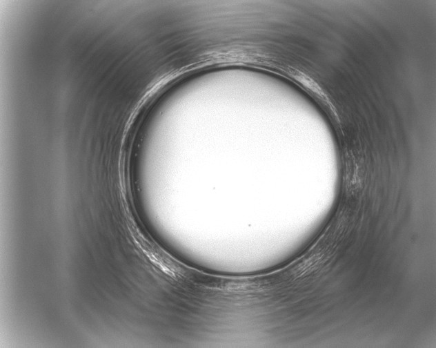 X0000051921035200507222129