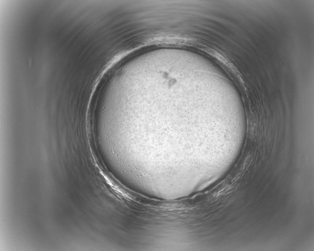 X0000051921037200507222129