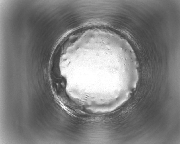 X0000051921038200507222129