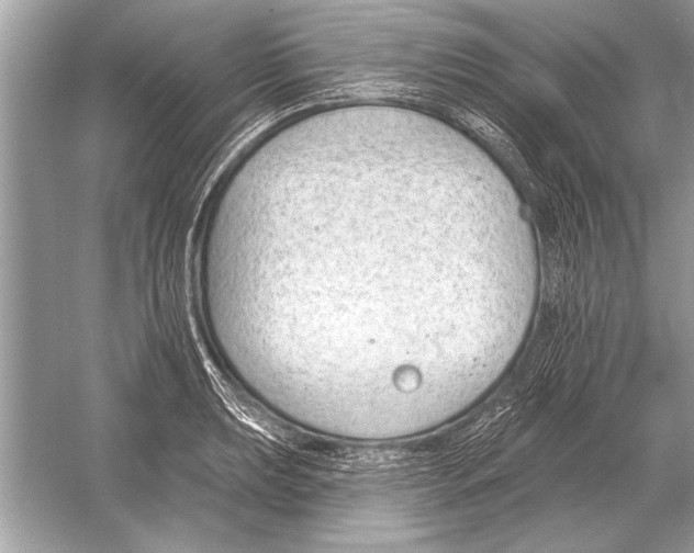 X0000051921039200507222129