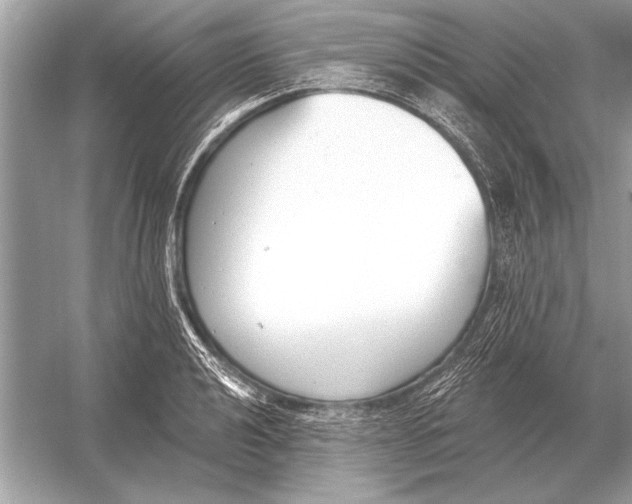 X0000051921040200507222129