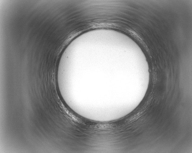 X0000051921041200507222129