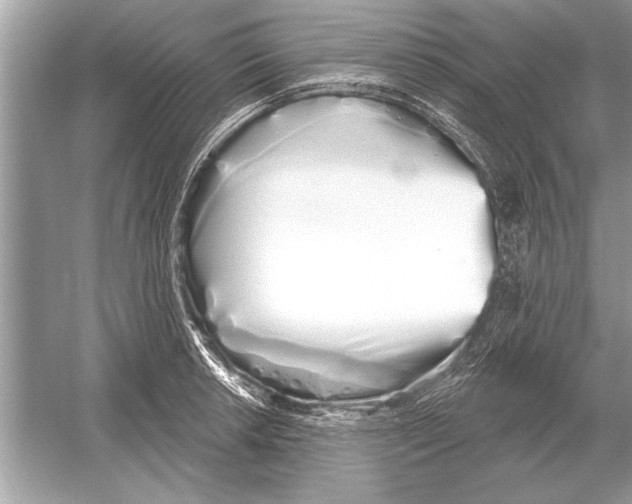 X0000051921042200507222129