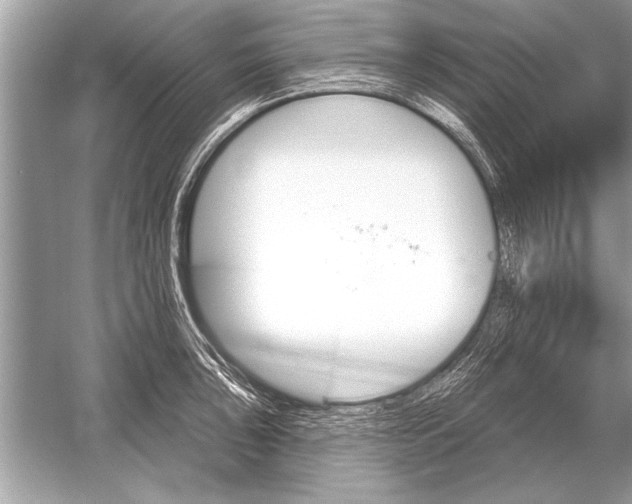 X0000051921043200507222129