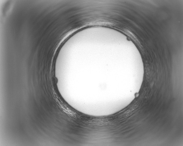 X0000051921044200507222129