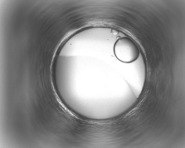 X0000051921045200507222129