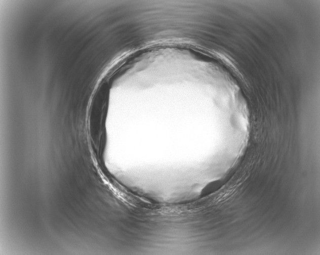 X0000051921046200507222129