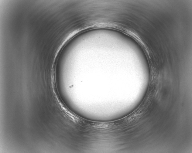 X0000051921048200507222129