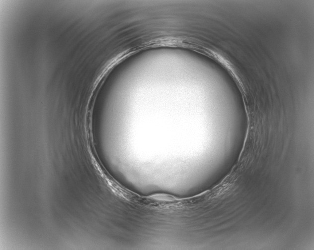 X0000051921050200507222129