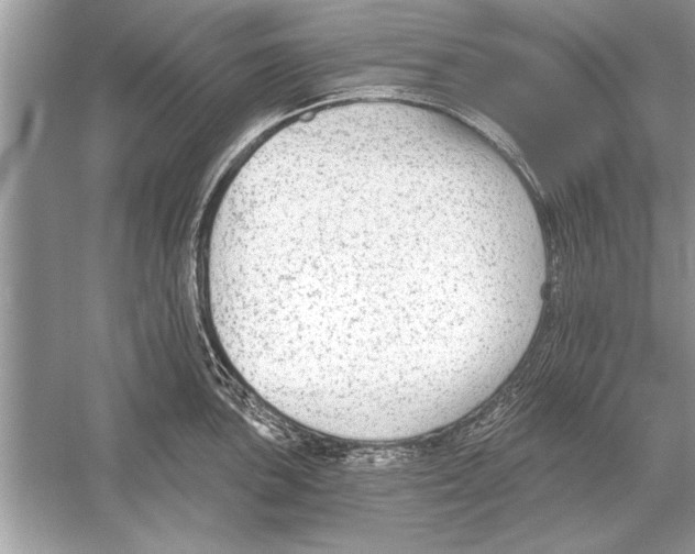 X0000051921051200507222129