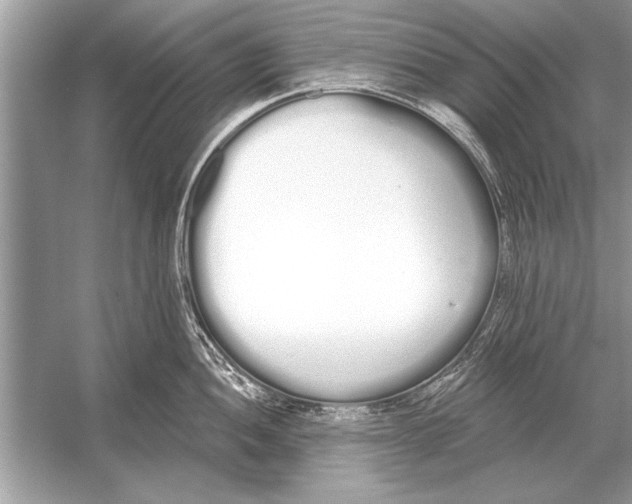 X0000051921052200507222129