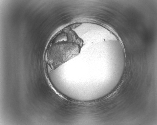 X0000051921053200507222129