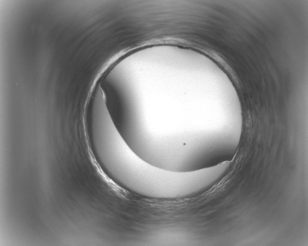 X0000051921054200507222129