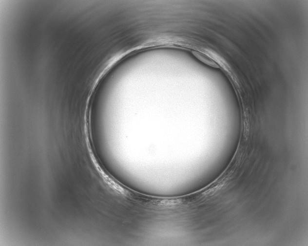 X0000051921055200507222129