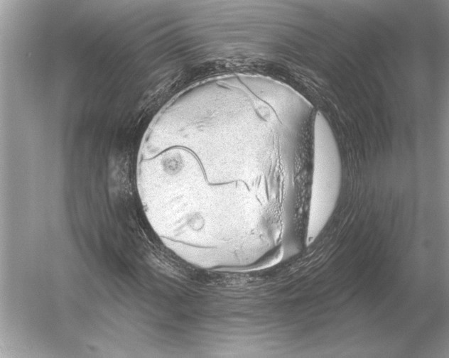 X0000051921060200507222128