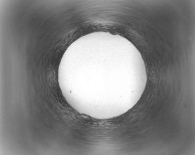 X0000051921061200507222128