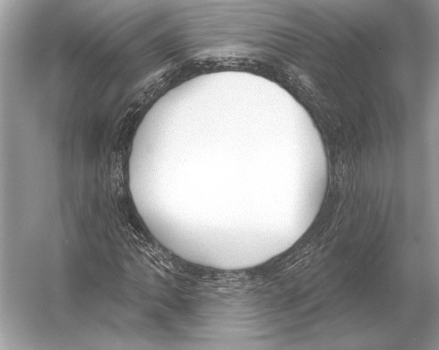 X0000051921062200507222128