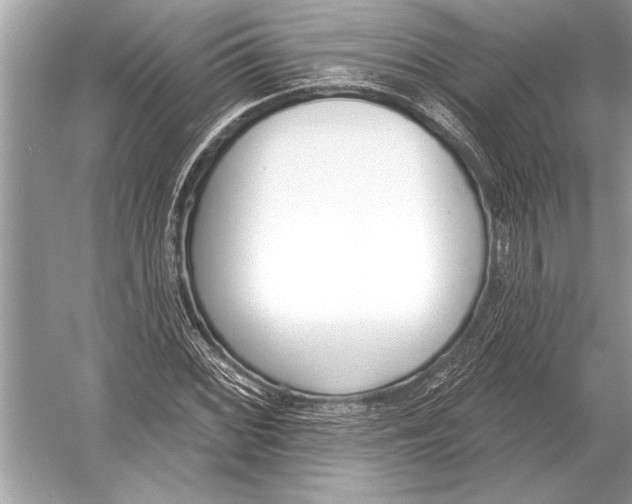 X0000051921068200507222128