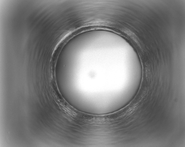 X0000051921069200507222128