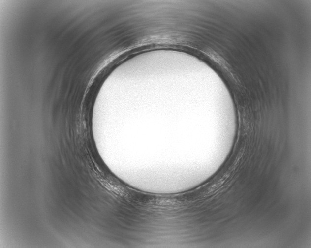 X0000051921070200507222128