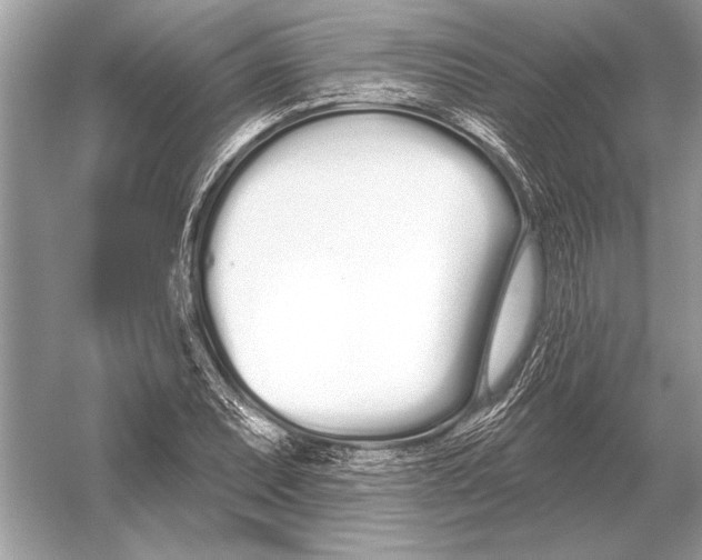 X0000051921071200507222128