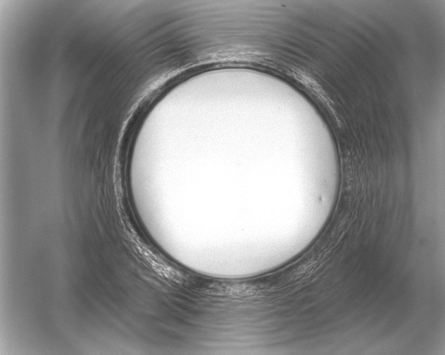 X0000051921072200507222128