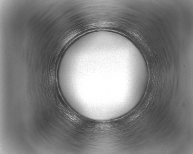 X0000051921073200507222128