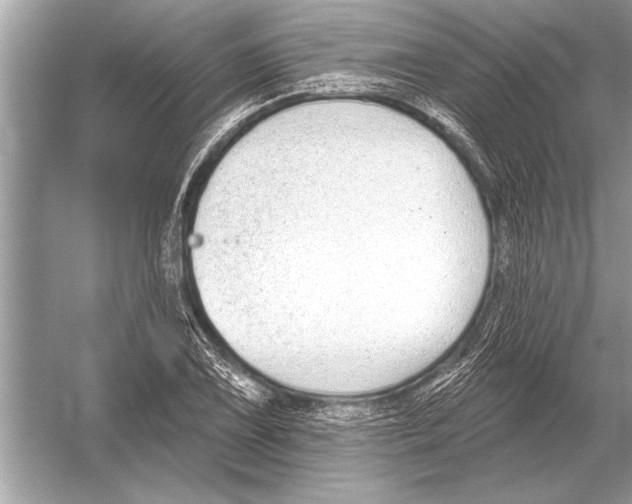 X0000051921075200507222128