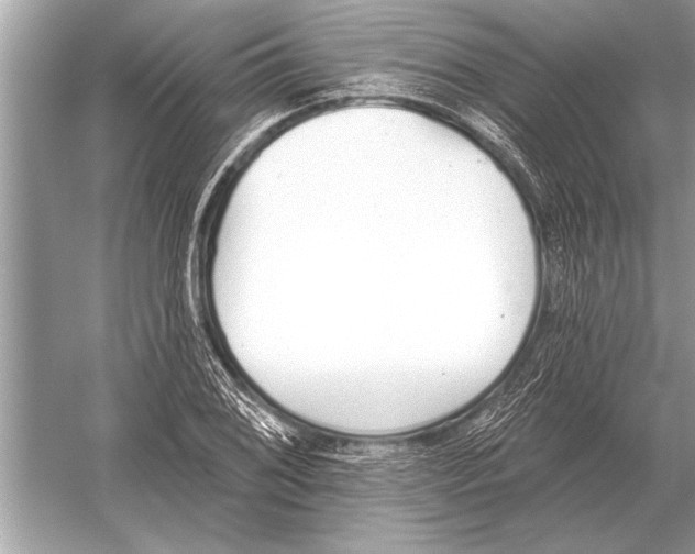 X0000051921076200507222128