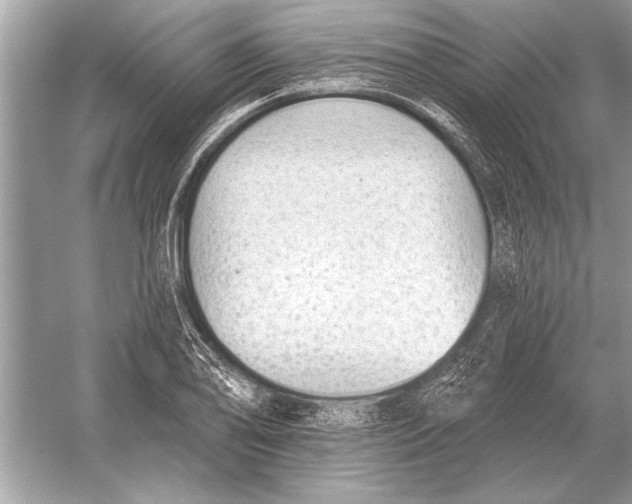 X0000051921078200507222128